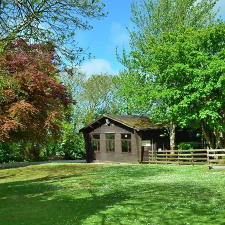 37 Trevithick Court, Tolroy Manor Villa Hayle Eksteriør bilde